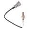 O2 Oxygen Sensor