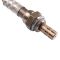 O2 Oxygen Sensor