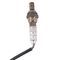 O2 Oxygen Sensor