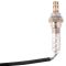 O2 Oxygen Sensor