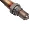 O2 Oxygen Sensor