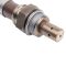 O2 Oxygen Sensor