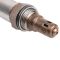 O2 Oxygen Sensor