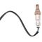 O2 Oxygen Sensor