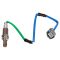 O2 Oxygen Sensor