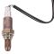 O2 Oxygen Sensor