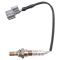 O2 Oxygen Sensor