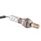 O2 Oxygen Sensor