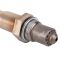 O2 Oxygen Sensor