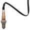 O2 Oxygen Sensor