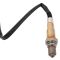 O2 Oxygen Sensor