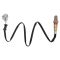 O2 Oxygen Sensor