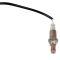 O2 Oxygen Sensor