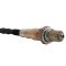 O2 Oxygen Sensor