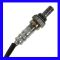 O2 Oxygen Sensor