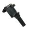 Ignition Coil Set