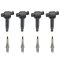 Ignition Coil & Spark Plug Kit