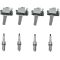 Ignition Coil & Spark Plug Kit