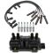Ignition Kit