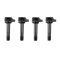 Ignition Coil Set