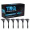Ignition Coil Set