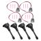 Ignition Coil Set