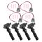 Ignition Coil Set