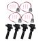 Ignition Coil Set