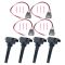 Ignition Coil Set