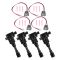 Ignition Coil Set