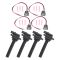 Ignition Coil Set