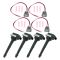 Ignition Coil Set