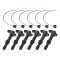 Ignition Coil Set
