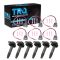 Ignition Coil Set