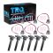 Ignition Coil Set