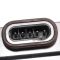 HID Ballast Control Module