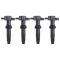 Ignition Coil Set