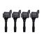 Ignition Coil Set