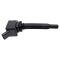 Ignition Coil Set
