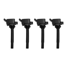 Ignition Coil Set
