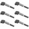 10-15 BWM Multifit Ignition Coil Set of 6 (Delphi)