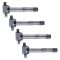 Ignition Coil Set