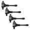 Ignition Coil Set
