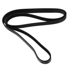 Serpentine Belt
