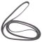 Serpentine Belt