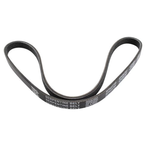 Serpentine Belt