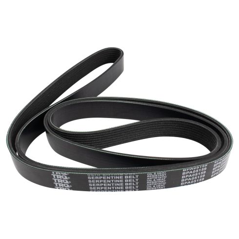 Serpentine Belt