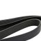 Serpentine Belt