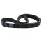 Serpentine Belt