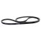 Serpentine Belt